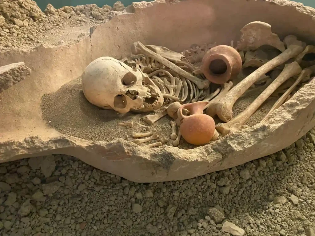 What Is Archaeology