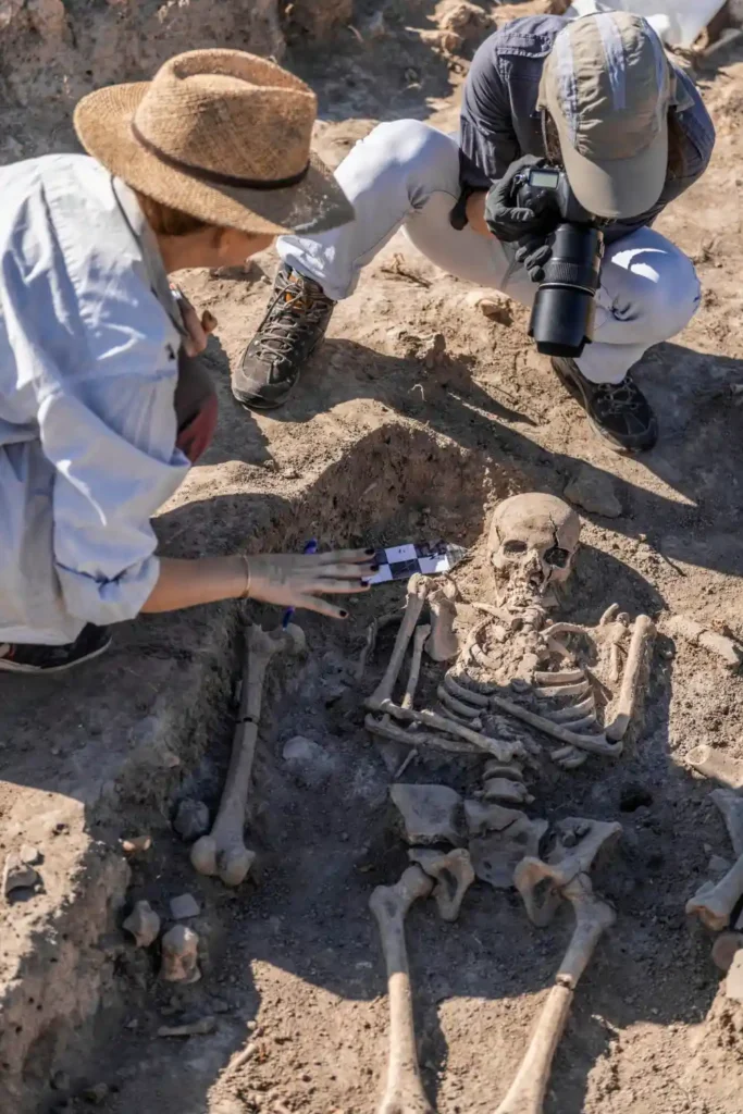 Archaeology jobs