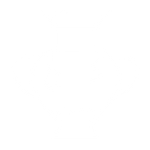 The Archaeology Alliance